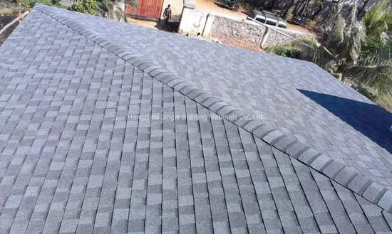 Proyecto Techumbres Depassier